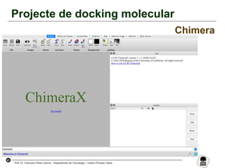 41
Prof. Dr. Francisco Pérez García – Departament de Tecnologia – Institut Pompeu Fabra
Projecte de docking molecular
Chimera
 