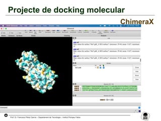 44
Prof. Dr. Francisco Pérez García – Departament de Tecnologia – Institut Pompeu Fabra
Projecte de docking molecular
ChimeraX
 