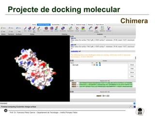 45
Prof. Dr. Francisco Pérez García – Departament de Tecnologia – Institut Pompeu Fabra
Projecte de docking molecular
Chimera
 