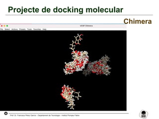 46
Prof. Dr. Francisco Pérez García – Departament de Tecnologia – Institut Pompeu Fabra
Projecte de docking molecular
Chimera
 