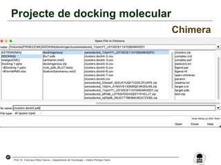 47
Prof. Dr. Francisco Pérez García – Departament de Tecnologia – Institut Pompeu Fabra
Projecte de docking molecular
Chimera
 