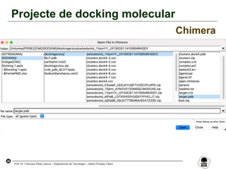 48
Prof. Dr. Francisco Pérez García – Departament de Tecnologia – Institut Pompeu Fabra
Projecte de docking molecular
Chimera
 