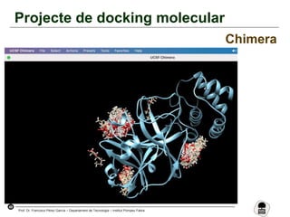 49
Prof. Dr. Francisco Pérez García – Departament de Tecnologia – Institut Pompeu Fabra
Projecte de docking molecular
Chimera
 