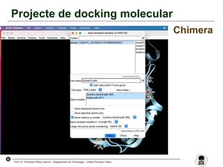 52
Prof. Dr. Francisco Pérez García – Departament de Tecnologia – Institut Pompeu Fabra
Projecte de docking molecular
Chimera
 