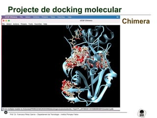 53
Prof. Dr. Francisco Pérez García – Departament de Tecnologia – Institut Pompeu Fabra
Projecte de docking molecular
Chimera
 