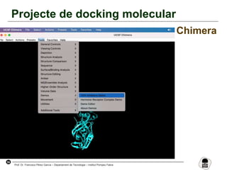 54
Prof. Dr. Francisco Pérez García – Departament de Tecnologia – Institut Pompeu Fabra
Projecte de docking molecular
Chimera
 