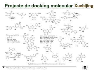 6
Prof. Dr. Francisco Pérez García – Departament de Tecnologia – Institut Pompeu Fabra
Projecte de docking molecular Xuebijing
 
