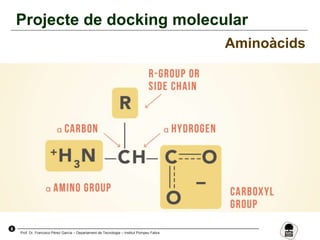 8
Prof. Dr. Francisco Pérez García – Departament de Tecnologia – Institut Pompeu Fabra
Projecte de docking molecular
Aminoàcids
 