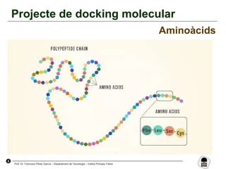 9
Prof. Dr. Francisco Pérez García – Departament de Tecnologia – Institut Pompeu Fabra
Projecte de docking molecular
Aminoàcids
 