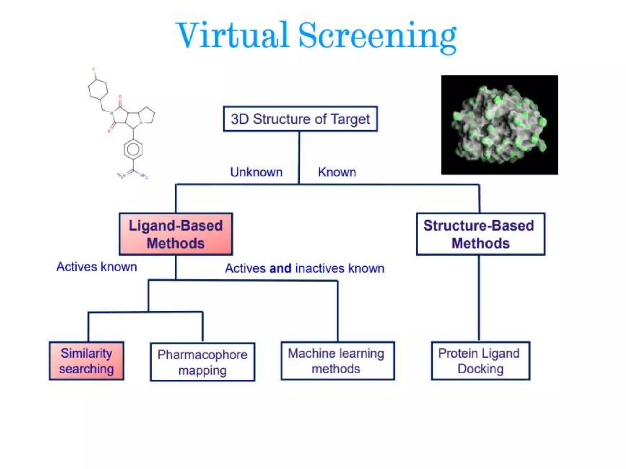 Docking based screening of drugs. | PPTX