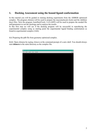 Docking Instruction Example Docking Tutorial | PDF