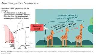 Generación aleatoria de
genes (poses del ligando)
Evaluación del
fitness a cada
individuo
Tamaño de
descendencia
Recombinación
Mutación
Selección
elitista
Siguiente
generación
Algoritmo genético Lamarckiano
Nueva generación
Búsqueda Local (Minimización de
energía)
• Una fracción de los individuos
(poses) mejoran su fitness mediante
búsqueda local y pueden heredar
dicha mejora (variables de estado)
Morris, et al. (1998) Automated Docking Using a Lamarckian Genetic Algorithm and an Empirical Binding Free Energy Function. Journal of Computational Chemistry, Vol. 19,
No. 14, 1639]1662
Búsqueda
local
{3 85486 53D5U5DH6
+
7
#
JJJJJ
Z
+
,-7
7
O%
]G*3E*3*4
 