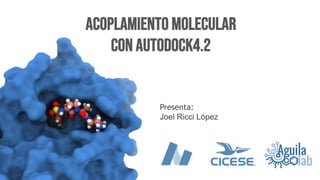 Acoplamiento Molecular
con Autodock4.2
Presenta:
Joel Ricci López
 
