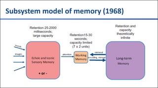 #TXCME15
Subsystem model of memory (1968)
+ or -
 