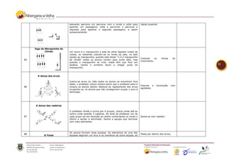 elemento percorre um percurso com a corda e volta para          rápido possível;
                             apanhar um passageiro, volta a percorrer o percurso e
                             regressa para apanhar o segundo passageiro, e assim
                             sucessivamente.




     Jogo do Macaquinho de
             Chinês          Um aluno é o macaquinho e está de olhos tapados virado de
                             costas, os restantes colocam-se no fundo da sala, no lado
                             oposto ao macaquinho, quando este disser "1,2,3 macaquinho
                                                                                             Controla   os      ritmos     do
B5                           de chinês" todos os alunos correm para junto dele, mas
                                                                                             movimento;
                             quando o macaquinho se virar, todos tem que ficar em
                             estátua. Ganha o primeiro aluno a chegar junto do                                                  21
                             macaquinho.


       A dança dos arcos

                             Coloca-se arcos no chão todos os alunos se encontram fora
                             deles, o professor coloca música assim que o professor pára a
                                                                                             Executa a     locomoção     com
B6                           música os alunos devem deslocar-se rapidamente aos arcos
                                                                                             agilidade;
                             ocupando-os, os alunos que não conseguirem ocupar o arco é
                             eliminado.




      A dança das cadeiras

                             O professor divide a turma por 4 grupos, coloca cones até ao
                             centro onde estarão 3 cadeiras. Ao sinal do professor um de
B7                           cada grupo sai em direcção ao centro contornando os cones o     Senta-se com rapidez;
                             último a sentar é eliminado. Ganha a equipa que terminar
                             com mais elementos




                             Os alunos formam duas equipas. Os elementos de uma das
B8                                                                                           Passa por dentro dos arcos;
            O Túnel          equipas seguram um arco e os membros da outra equipa, ao
 