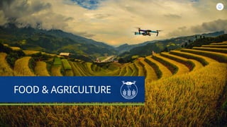 FOOD & AGRICULTURE
 