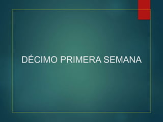 DÉCIMO PRIMERA SEMANA
 
