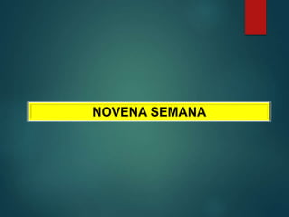 NOVENA SEMANA
 