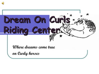 Dream On Curls Riding Center Where dreams come true  on Curly horses 