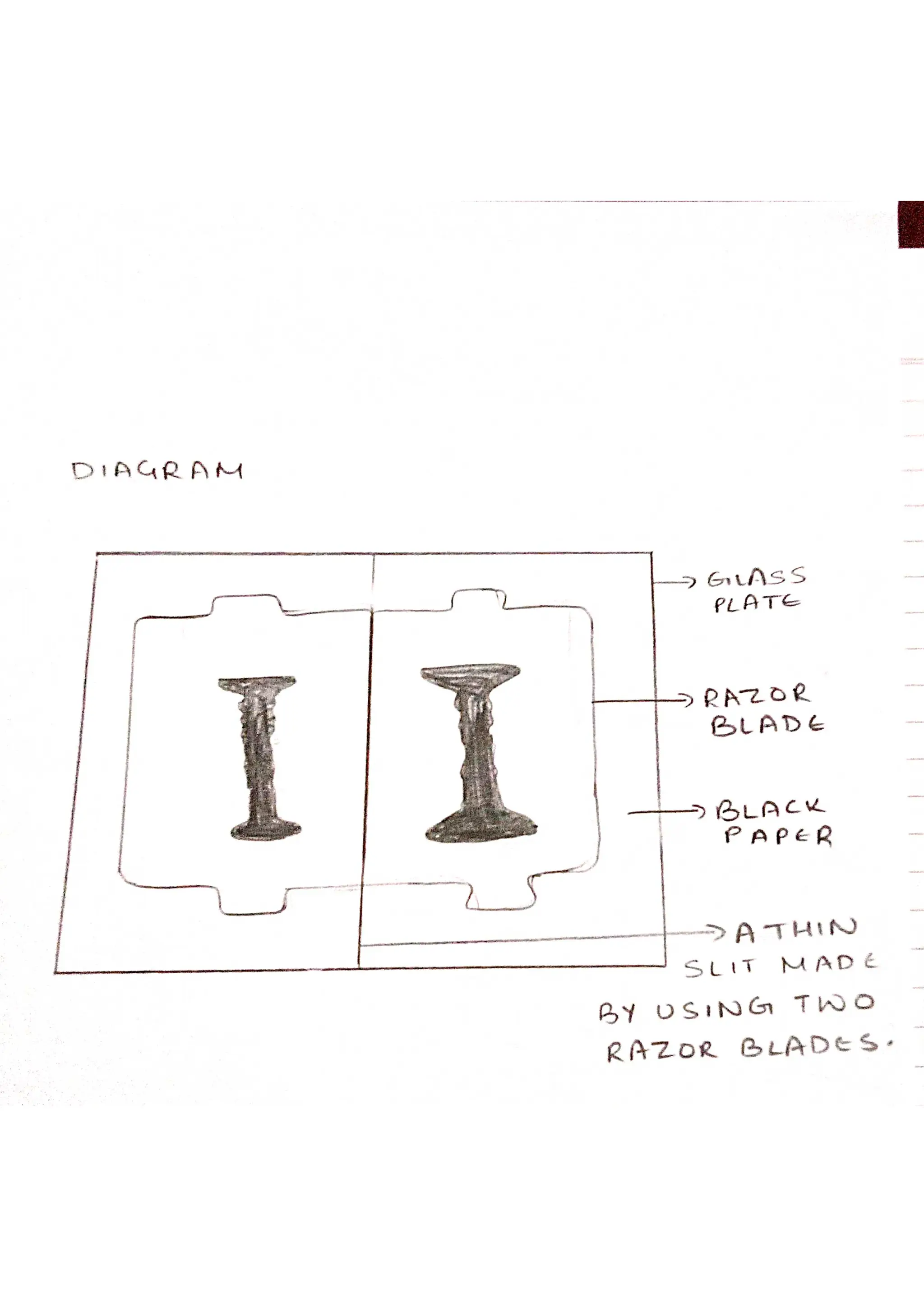 Class 12 physics Assignment very important