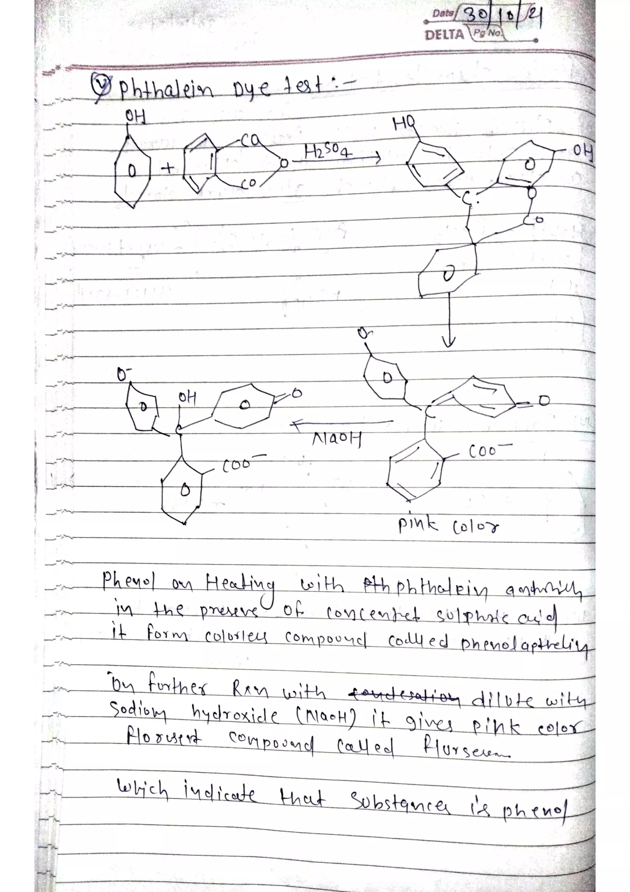 unit 2 hand writting notes of phenol amines acids
