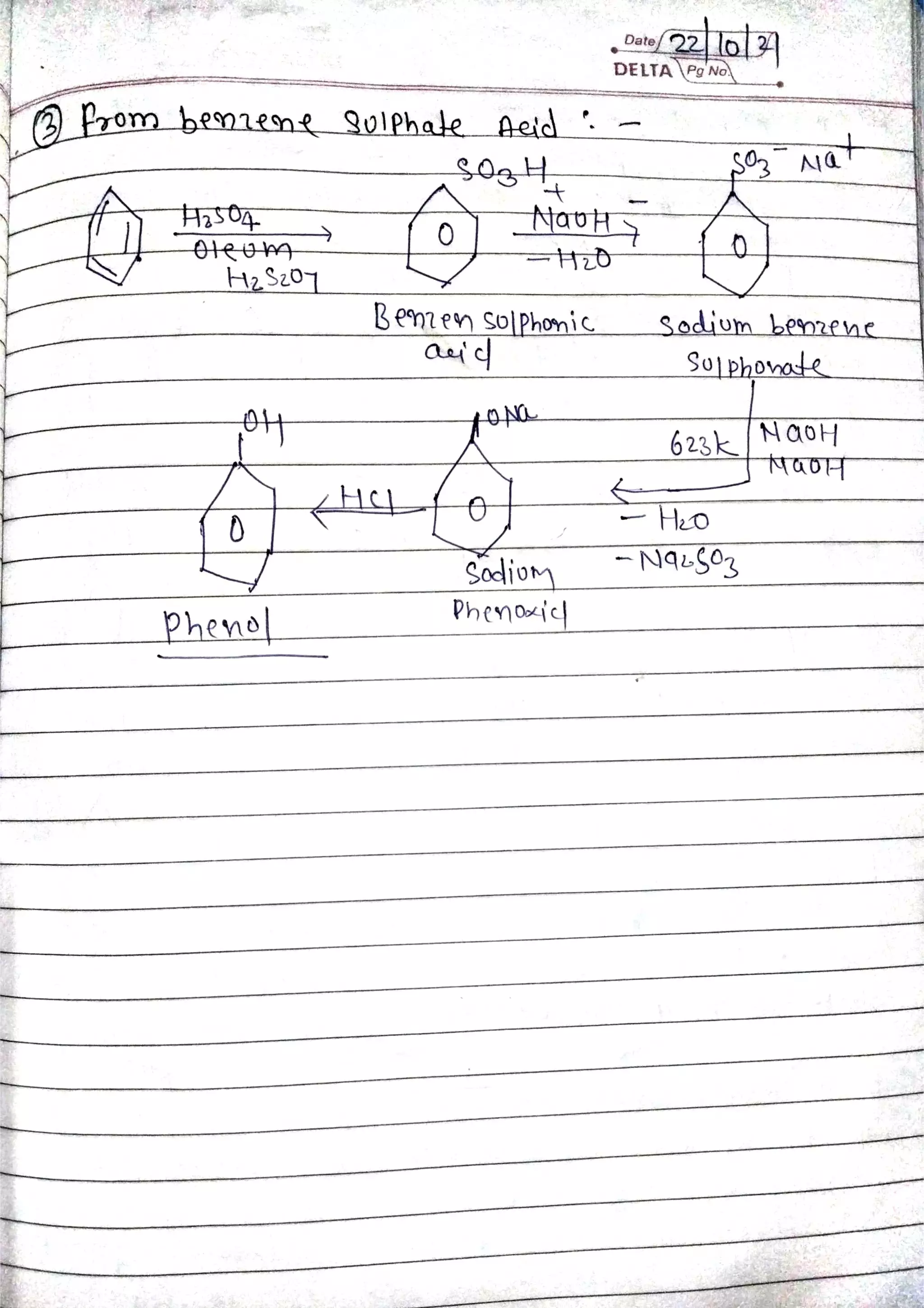 unit 2 hand writting notes of phenol amines acids