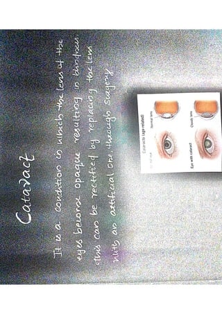 DocScanner Sep 6, 2023 9-22 PM.pdf