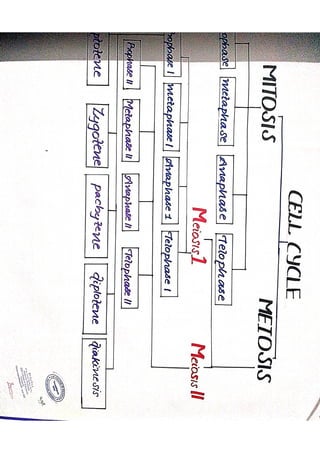DocScanner Sep 6, 2023 9-25 PM.pdf