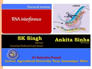 Doctoralseminar
SK Singh,
Advisor
Associate Professor Cum Senior
Scientist
Ankita SinhaPhD Student
Dr Rajendra Prasad
Central Agricultural University, Pusa, Samastipur, Bihar
RNA interference
 