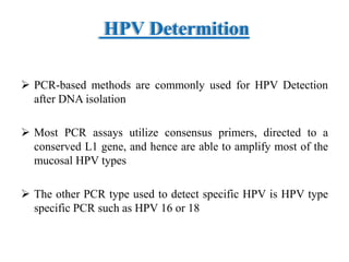 HPV Determition
 PCR-based methods are commonly used for HPV Detection
after DNA isolation
 Most PCR assays utilize consensus primers, directed to a
conserved L1 gene, and hence are able to amplify most of the
mucosal HPV types
 The other PCR type used to detect specific HPV is HPV type
specific PCR such as HPV 16 or 18
 