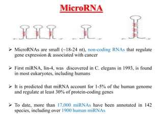 MicroRNA
 MicroRNAs are small (~18-24 nt), non-coding RNAs that regulate
gene expression & associated with cancer
 First miRNA, lin-4, was discovered in C. elegans in 1993, is found
in most eukaryotes, including humans
 It is predicted that miRNA account for 1-5% of the human genome
and regulate at least 30% of protein-coding genes
 To date, more than 17,000 miRNAs have been annotated in 142
species, including over 1900 human miRNAs
 