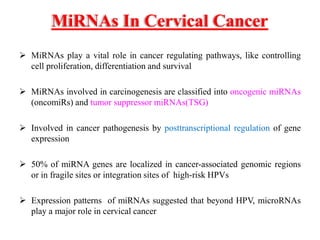 MiRNAs In Cervical Cancer
 MiRNAs play a vital role in cancer regulating pathways, like controlling
cell proliferation, differentiation and survival
 MiRNAs involved in carcinogenesis are classified into oncogenic miRNAs
(oncomiRs) and tumor suppressor miRNAs(TSG)
 Involved in cancer pathogenesis by posttranscriptional regulation of gene
expression
 50% of miRNA genes are localized in cancer-associated genomic regions
or in fragile sites or integration sites of high-risk HPVs
 Expression patterns of miRNAs suggested that beyond HPV, microRNAs
play a major role in cervical cancer
 