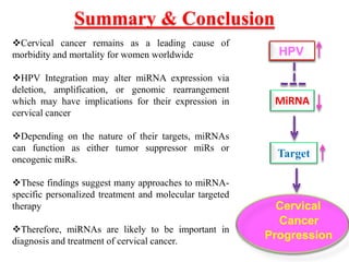 Summary & Conclusion
HPV
Cervical
Cancer
Progression
Cervical cancer remains as a leading cause of
morbidity and mortality for women worldwide
HPV Integration may alter miRNA expression via
deletion, amplification, or genomic rearrangement
which may have implications for their expression in
cervical cancer
Depending on the nature of their targets, miRNAs
can function as either tumor suppressor miRs or
oncogenic miRs.
These findings suggest many approaches to miRNA-
specific personalized treatment and molecular targeted
therapy
Therefore, miRNAs are likely to be important in
diagnosis and treatment of cervical cancer.
Target
MiRNA
 