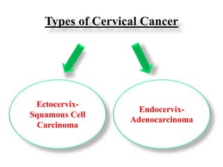 Types of Cervical Cancer
Ectocervix-
Squamous Cell
Carcinoma
Endocervix-
Adenocarcinoma
 