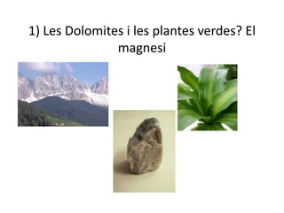 1) Les Dolomites i les plantes verdes? El magnesi 