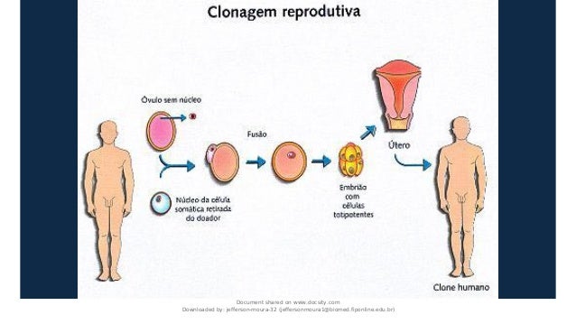 Document shared on www.docsity.com
Downloaded by: jefferson-moura-32 (jeffersonmoura1@biomed.fiponline.edu.br)
 