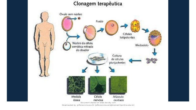 Document shared on www.docsity.com
Downloaded by: jefferson-moura-32 (jeffersonmoura1@biomed.fiponline.edu.br)
 