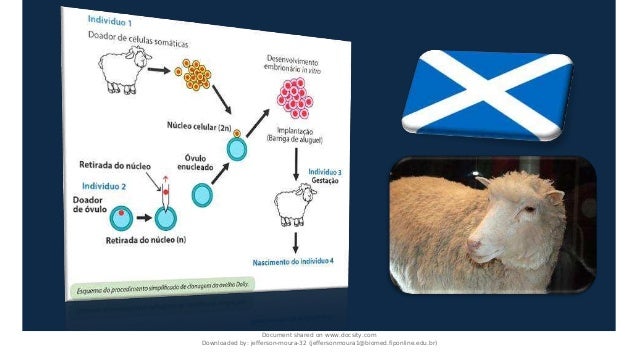 Document shared on www.docsity.com
Downloaded by: jefferson-moura-32 (jeffersonmoura1@biomed.fiponline.edu.br)
 