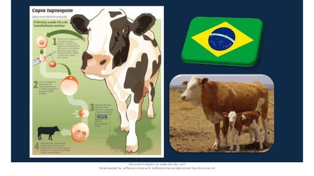 Document shared on www.docsity.com
Downloaded by: jefferson-moura-32 (jeffersonmoura1@biomed.fiponline.edu.br)
 