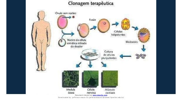 Document shared on www.docsity.com
Downloaded by: jefferson-moura-32 (jeffersonmoura1@biomed.fiponline.edu.br)
 