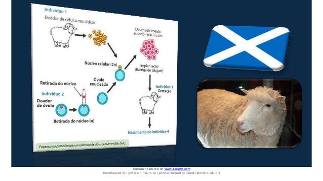 Document shared on www.docsity.com
Downloaded by: jefferson-moura-32 (jeffersonmoura1@biomed.fiponline.edu.br)
 