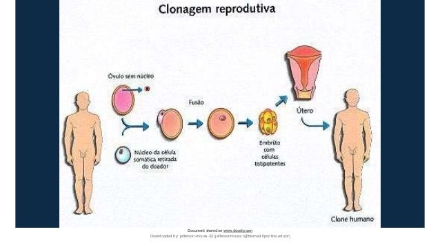 Document sharedon www.docsity.com
Downloaded by: jefferson-moura-32 (jeffersonmoura1@biomed.fiponline.edu.br)
 