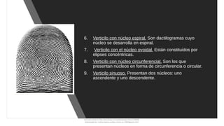 Vertificilo docsity-dactiloscopia-historia.pdf pdf pd | PDF