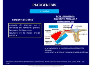 PATOGÉNESIS
2 TEORÍAS
Patogénesis y fisiopatología del hematoma subdural crónico. Revista Mexicana de Neurociencia . Julio-Agosto, 2016; 17(4):
78-85
GRADIENTE OSMÓTICO
DE LA HEMORRAGIA
RECURRENTE ASOCIADA A
HIPERFIBRINOLÍSIS
aumento de proteínas en el
contenido del hematoma provoca
la entrada de fluido como
resultado de la mayor presión
oncótica.
PARIETAL
LA NEOMEMBRANA SE FORMA EN APROXIMADAMENTE 2
SEMANAS
INICIALMENTE AL 4TO DIA SE FORMA LA MEMBRANA EXTERNA
Document shared on https://www.docsity.com/es/hematoma-subdural-panorama-general/5322403/
Downloaded by: jennifer-fernandez-vizcarra (j_enn29@hotmail.com)
 