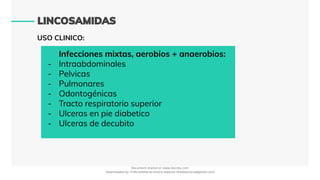 USO CLINICO:
Infecciones mixtas, aerobios + anaerobios:
- Intraabdominales
- Pelvicas
- Pulmonares
- Odontogénicas
- Tracto respiratorio superior
- Ulceras en pie diabetico
- Ulceras de decubito
Document shared on www.docsity.com
Downloaded by: frida-estefania-orozco-esparza (freidaorozco@gmail.com)
 