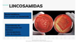 Bacteriostáticos ,
Pero pueden ser bactericida .
Dependiendo de:
-concentración del
farmaco
-microorganismo
-sitio de infección,
Document shared on www.docsity.com
Downloaded by: frida-estefania-orozco-esparza (freidaorozco@gmail.com)
 