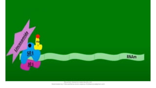 Document shared on www.docsity.com
Downloaded by: frida-estefania-orozco-esparza (freidaorozco@gmail.com)
 