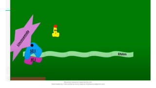 Document shared on www.docsity.com
Downloaded by: frida-estefania-orozco-esparza (freidaorozco@gmail.com)
 