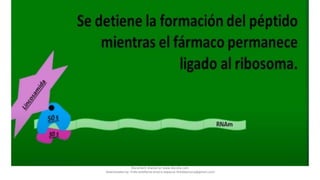 Document shared on www.docsity.com
Downloaded by: frida-estefania-orozco-esparza (freidaorozco@gmail.com)
 