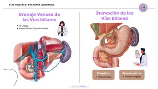 Simpática
Plexo Celiaco
Parasimpática
Troncos Vagales
VÍAS BILIARES: ANATOMÍA QUIRURGICA
Drenaje Venoso de
las Vías biliares
V. Cística
Plexo Venoso Supraduodenal
I
nervación de las
Vías Biliares
Document shared on www.docsity.com
Downloaded by: jariza2394 (jesus_22410@hotmail.com)
 